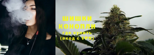 ешки Аркадак