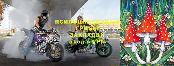 ешки Аркадак