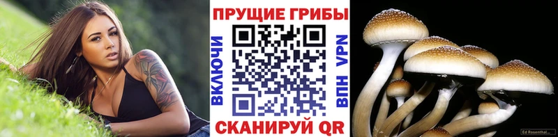 Галлюциногенные грибы ЛСД Суровикино
